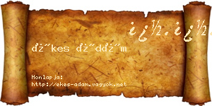 Ékes Ádám névjegykártya